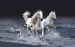 4212826-mystic-horses